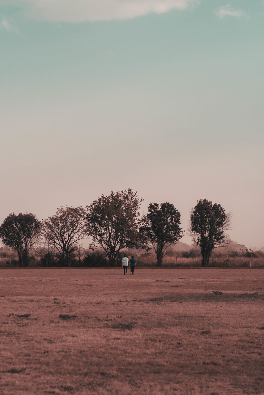 cinc, negre, arbres, blau, cel, núvols, la llum del dia, paisatge, naturalesa, gent, escènic, posta de sol, arbre, planta, camp, terra, escena tranquil·la, una persona, tranquil·litat, escenics - natura, medi ambient, bellesa a la natura, longitud completa, de peu, dia, persones reals, escena no urbana, cel clar, a l'aire lliure, 5K
