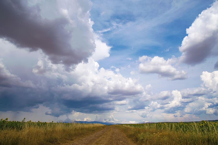 palencia, cesta, mraky, nebe, mrak - nebe, krajina, přistát, životní prostředí, pole, krása v přírodě, scenics - příroda, klidné scény, rostlina, klid, Příroda, den, nikdo, tráva, horizont nad zemí, mimoměstské scény, horizont, růst, venkovské scény, venku, 5K
