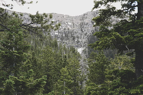 verde, árvore, branco, céu, nuvens, frio, luz do dia, meio Ambiente, floresta, Alto, gelo, panorama, Pico da montanha, montanhas, natureza, fotografia da natureza, parque, rochas, cenário, cênico, vista, neve, arvores, fotografia de grande angular, madeiras, plantar, crescimento, beleza na natureza, scenics - natureza, terra, cascata, ninguém, cena não urbana, dia, montanha, cor verde, cena tranquila, ao ar livre, viagem, folhagem, tranquilidade, folhagem exuberante, água corrente, floresta tropical, fluindo, 5K, CC0, domínio público, royalty free