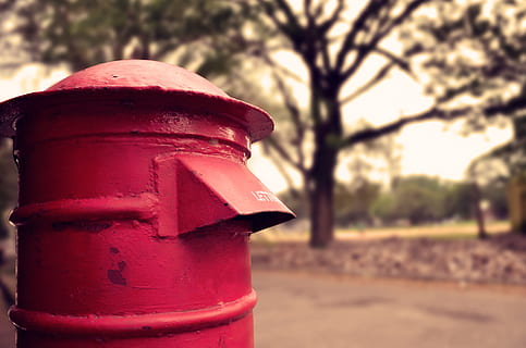 letter box, focus on foreground, red, tree, mailbox, mail, day, plant, metal, no people, close-up, public mailbox, outdoors, nature, protection, safety, security, old, sunlight, letter, fire hydrant, 2K, CC0, public domain, royalty free