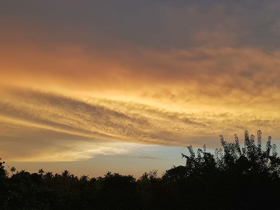 paisatge, s8 plus, samsung, arbres, posta de sol, cicle, passeig, Ventós, ennuvolat, desaprofitar, llac, mòbil, fotografia, impressionant, càlid, sincronització, núvol - cel, arbre, cel, bellesa a la natura, silueta, escenics - natura, tranquil·litat, escena tranquil·la, planta, color taronja, naturalesa, cap gent, creixement, cel dramàtic, idíl·lic, a l'aire lliure, vista d’angle baix, escena no urbana, cel romàntic, 4K