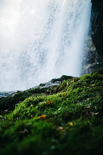 cascade, mușchi, plantă, apă, natură, în aer liber, râu, caderi uscate, Statele Unite, zonele muntoase, alge, cascadă, iarbă, aventură, verde, agaric, ciuperca, ciupercă, Falls, tapet, fundal pentru telefon, mişcare, frumusețe în natură, scenice - natura, selectiv, nici o persoana, zi, teren, Culoarea verde, expunere lungă, putere în natură, scenă non-urbană, mediu inconjurator, putere, stâncă, apă curgătoare, 5K, CC0, domeniu public, fără drepturi de autor