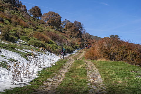 sentiero, autunno, paesaggio, foresta, alberi, natura, escursioni a piedi, Lugros, granada, pianta, albero, cielo, bellezza nella natura, la strada davanti, direzione, scenics - natura, giorno, crescita, terra, scena non urbana, strada, ambiente, persone accessorie, la tranquillità, montagna, campo, all'aperto, prospettiva decrescente, 5K, CC0, dominio pubblico, privo di copyright
