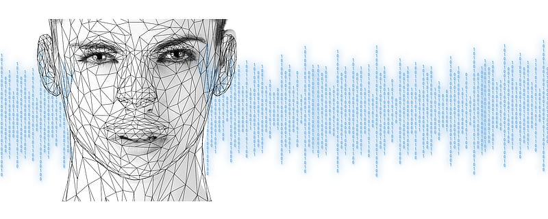 integration, ansikte, binär, koda, digitalisering, mänsklig, teknologi, data, information, nätverk, databas, sammanfoga, modul, inget folk, kommunikation, träd, kreativitet, vit bakgrund, internet, närbild, inomhus, vit färg, kall temperatur, natur, växt, mönster, förbindelse, datornätverk, digital komposit, humör, studio skott, säkerhet, 8K, CC0, offentligt domän, royaltyfria