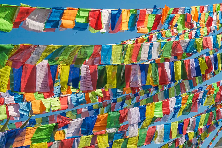 zigoli di colori assortiti, multicolore, sospeso, grande gruppo di oggetti, nessuno, scelta, abbondanza, fotogramma intero, variazione, di fila, sfondi, fianco a fianco, Al dettaglio, giorno, preparativi, modello, collezione, capi di abbigliamento, natura morta, ordine, attività commerciale, esposizione al dettaglio, 4K