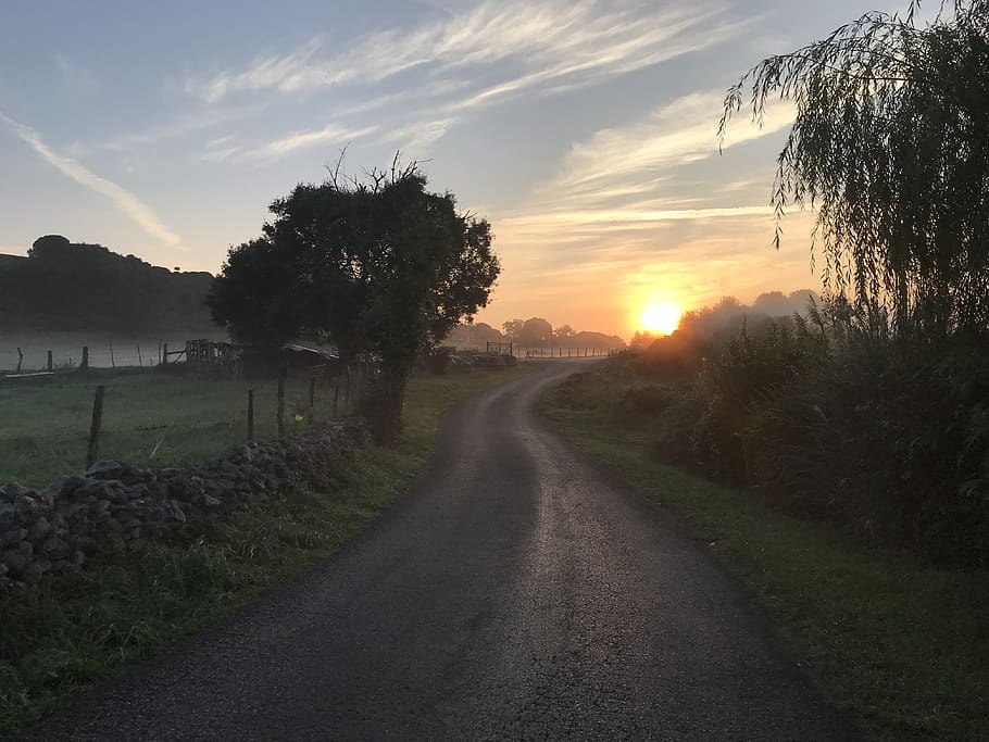 tanca, núvol, sol, alba, amanecer, camí, arbre, bosque, bruma, boira, bosc, carretera, cel, posta de sol, direcció, planta, el camí a seguir, núvol - cel, tranquil·litat, paisatge, naturalesa, escena tranquil·la, medi ambient, escenics - natura, bellesa a la natura, camp, transport, terra, herba, cap gent, perspectiva decreixent, a l'aire lliure, 4K
