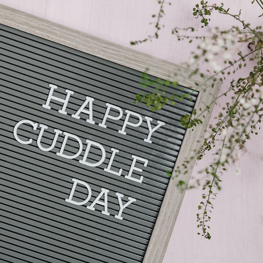 lykkelig, kram dag tekst, tekst, plante, symbol, logo, varemærke, blomstre, blomst, Valentins Dag, valentines, løv, kæle, knus, grå, kærlighed, flatlay, citere, brevkort, type, romantik, romantisk, vestlige script, meddelelse, ingen mennesker, tæt på, indendørs, mad og drikke, træ - materiale, skilt, studio skud, mad, hvid farve, besked, dag, enkelt ord, forretning, mønster, stort bogstav, menu, 2K