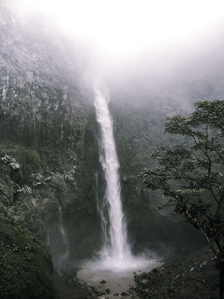cascada durant el dia, aigua, a l'aire lliure, naturalesa, riu, cascada, vegetació, planta, arbre, arbust, terra, selva tropical, rierol, corrent, paisatge, jungla, temps, penya-segat, aus aquàtiques, animal, bellesa a la natura, escenics - natura, moviment, exposició llarga, cap gent, boira, poder, poder a la natura, escena no urbana, dia, rock, aigua que flueix, que flueix, 4K