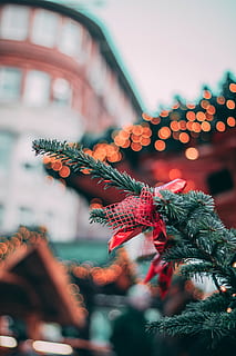 árbol de Navidad, planta, árbol, multitud, festival, ornamento, abies, abeto, flor, hoja, conífera, aventuras, actividades de ocio, arreglo floral, cabeza, pino, boca, labio, ropa, vestir, decoración, celebracion, Navidad, vacaciones, Decoración navideña, enfoque selectivo, iluminado, estructura construida, arquitectura, naturaleza, evento, exterior del edificio, centrarse en primer plano, de cerca, evento festivo, al aire libre, mercado de Navidad, 5K, CC0, dominio público, libre de derechos