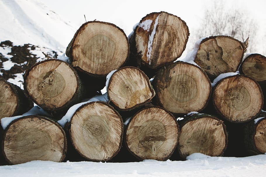Bäume, loggs, Wald, Winter, Schnee, Weiß, Natur, kalt, Wetter, Holz, braun, Bauholz, Log, Stapel, Brennholz, Holzindustrie, Abholzung, Baum, große gruppe von gegenständen, Kraftstoff- und Stromerzeugung, Holz - Material, kalte Temperatur, fossiler Brennstoff, Fülle, Umweltprobleme, Holzstapel, keine Leute, 5K