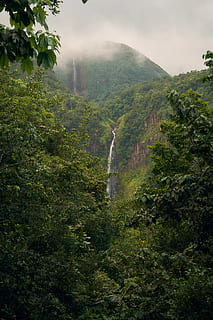 cascade în munte, cascadă, zori de zi, lumina zilei, mediu inconjurator, Falls, ceaţă, cețos, peisaj, luxuriant, aburi, mişcare, Munte, natură, în aer liber, pădure tropicală, râu, pitoresc, vară, călătorie, copaci, apă, cascade, pădure, plantă, copac, Culoarea verde, creştere, frumusețe în natură, scenice - natura, scenă non-urbană, teren, luxuriant frunziș, o scenă liniștită, cer, nici o persoana, zi, frunziş, liniște, idilic, 5K, CC0, domeniu public, fără drepturi de autor