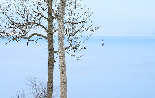 arbres nus grisos, planta, arbre, tronc de l'arbre, drøbak, noruega, gener, dos, arbres, duo, blau, hivern, disseny, fons de pantalla, fons, a l'aire lliure, naturalesa, abies, avet, vehicle, transport, arbre nu, cel, branca, aigua, tranquil·litat, bellesa a la natura, dia, escenics - natura, cap gent, escena tranquil·la, ocell, tronc, temes d'animals, vertebrats, animals a la natura, 2K, CC0, domini públic, lliure de regalies