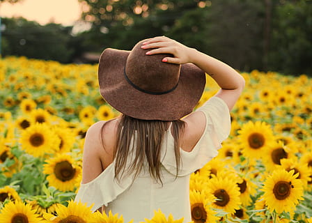Foto, kvinde, solsikkefelt, bagfra, smuk, flor, blomstrende, blomstre, sløring, afslappet, tæt på, delikat, dybdeskarphed, miljø, mode, Mark, flora, blomster, fokus, pige, vækst, hat, idyllisk, landskab, model, natur, person, positur, lempelse, naturskøn, sommer, solsikke, rolig, levende, have på, blomst, gul, plante, blomstrende plante, en person, friskhed, rigtige mennesker, fritidsaktivitet, livsstil, langt hår, dag, tøj, skønhed i naturen, frisure, fokus på forgrunden, stående, hår, skrøbelighed, blomsterhoved, udendørs, skjult ansigt, 4K, CC0, offentligt domæne, royaltyfrie