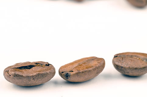 trei boabe de cafea, aromat, fundal, fasole, maro, cafeină, a închide, cafea, boabe de cafea, ceașcă, întuneric, epicurian, concentra, alimente, prospeţime, macro, natural, brut, fript, boabe de cafea prăjite, alb, mancare si bautura, studio shot, grup de obiecte, fundal alb, mâncat sănătos, bunăstare, în interior, elimina, nici o persoana, două obiecte, fruct, spațiu copie, trei obiecte, fructe uscate, organic, natură, luxos, 4K, CC0, domeniu public, fără drepturi de autor