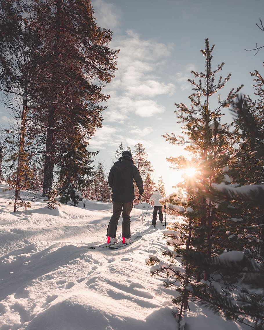Due, persone, pista di neve, avventura, freddo, luce del giorno, sibilo, brina, gelido, congelato, collina, ghiaccio, ghiacciato, paesaggio, natura, panoramico, stagione, sciare, sciatore, cielo, la neve, nevoso, sport, i raggi del sole, alberi, tempo metereologico, inverno, Abbigliamento invernale, paesaggio invernale, sport invernali, boschi, temperatura fredda, albero, pianta, persone reali, attività di svago, stili di vita, retrovisore, copertura, luce del sole, lunghezza intera, bellezza nella natura, campo, una persona, terra, vestiti caldi, all'aperto, 4K