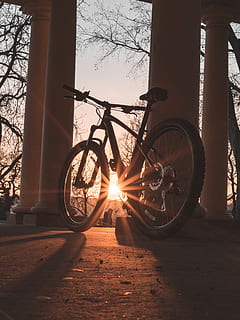 stiv, cykel, solstråler, transportmidler, land køretøj, stationær, træ, transportform, sollys, hjul, natur, dag, ingen mennesker, udendørs, himmel, dæk, parkering, solstråle, plante, sol, jord, rejse, talte, 5K, CC0, offentligt domæne, royaltyfrie