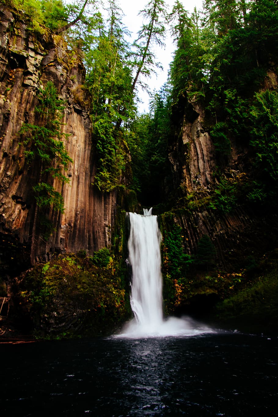 paisatges de cascades, aigua, riu, naturalesa, a l'aire lliure, cascada, Estats Units, toketee cau, arbre, planta, corrent, bosc, penya-segat, molsa, verd, cel, hivern, blanc, selva tropical, vegetació, terra, moviment, exposició llarga, bellesa a la natura, escenics - natura, moviment borrós, aigua que flueix, cap gent, rock, dia, poder, esquitxades, rock - object, que flueix, poder a la natura, caient aigua, 5K