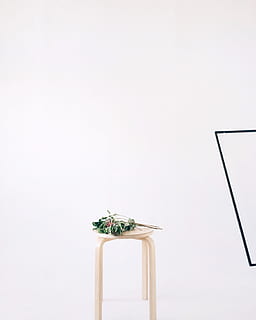 Grün, Blätter, runden, Beige, hölzern, Hocker Stuhl, konzeptionelle, leeren, Umgebung, Flora, Möbel, Gras, Wachstum, drinnen, Licht, Stillleben, Sommer-, kopieren sie platz, keine Leute, Studioaufnahme, Blume, weißer Hintergrund, Natur, Pflanze, blühende Pflanze, einzelnes Objekt, Holz - Material, ausgeschnitten, Rahmen, klarer Himmel, Tag, Nahansicht, Tier, Kunst und Handwerk, Dekoration, 2K, CC0, gemeinfrei, lizenzfrei