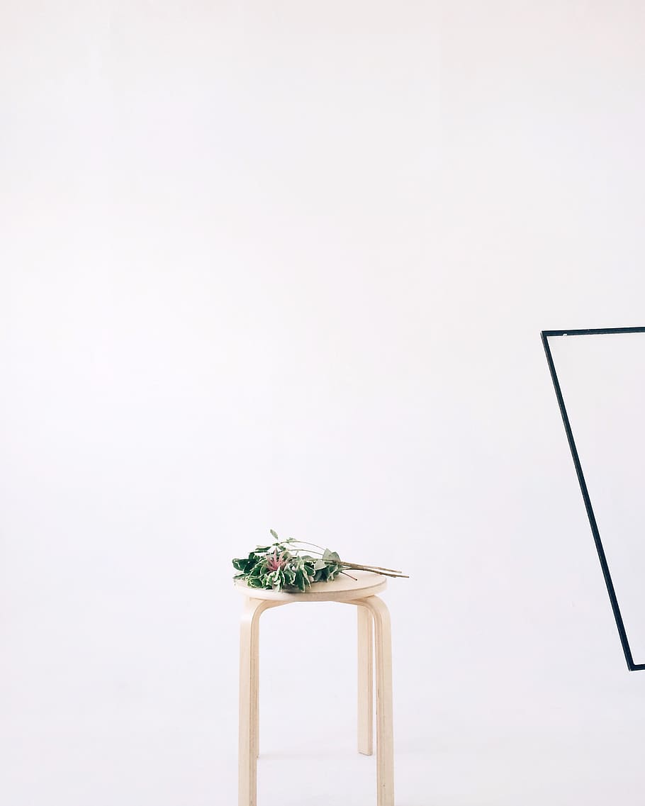 verd, fulles, rodó, beix, fusta, cadira de tamboret, conceptual, buit, medi ambient, flora, mobles, herba, creixement, a l'interior, llum, natura morta, estiu, còpia espai, cap gent, tir de l'estudi, flor, fons blanc, naturalesa, planta, planta amb flors, sol objecte, material de fusta, tallar, marc, cel clar, dia, primer pla, animal, art i artesania, decoració, 2K
