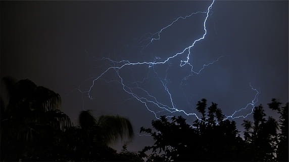 lightning, sky, night, dark, power in nature, storm, thunderstorm, beauty in nature, power, cloud - sky, tree, no people, nature, forked lightning, plant, warning sign, sign, silhouette, scenics - nature, illuminated, outdoors, light, ominous, 2K, CC0, public domain, royalty free