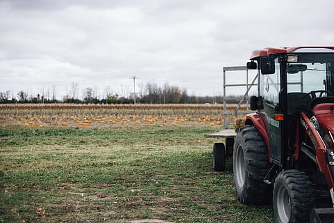 traktor, gård, græskar, græskar patch, overskyet, efterår, Mark, landbrug, landmand, landdistrikterne, landskabet, jord, himmel, natur, transportform, sky - himmel, land køretøj, dag, transportmidler, miljø, landskab, plante, græs, ingen mennesker, landlige scene, vækst, udendørs, 5K, CC0, offentligt domæne, royaltyfrie