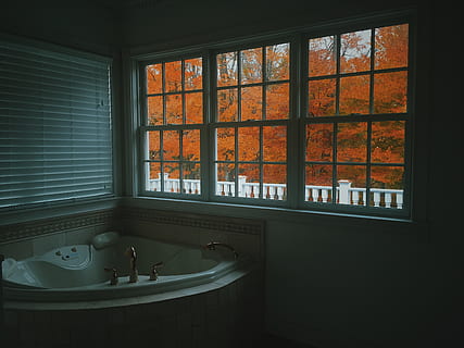 düşmek, yapraklar, pencere, içeriye, banyo, yurtiçi oda, cam malzemesi, yurtiçi banyo, lavabo, insansız, şeffaf, ev, gün, mimari, ev Aletleri, temizlik, musluk, yansıma, küvet, döşeme, bardak, pencere çerçevesi, 2K, CC0, kamu malı, telif ücretsiz