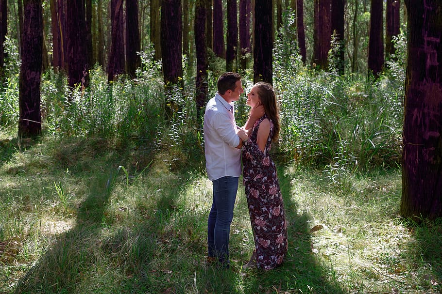 bosque, arboles, los amantes, luz del sol, Beso, abrazo, oferta, amor, dos personas, árbol, planta, unión, emoción positiva, pareja - relación, emoción, tierra, mujer joven, adulto joven, hombres, en pie, adulto, pareja heterosexual, mujer, longitud total, naturaleza, cara a cara, al aire libre, 8K