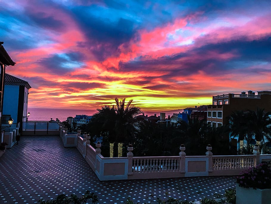 bianca, Marrone, terrazza, accanto, alberi di cocco, architettura, edifici, nuvole, nuvoloso, alba, paesaggio, luci, natura, panoramico, cielo, sole, tramonto, alberi, struttura costruita, nuvola - cielo, esterno dell'edificio, costruzione, città, albero, colore arancione, crepuscolo, bellezza nella natura, ringhiera, persone accessorie, acqua, mare, pianta, all'aperto, cielo romantico, piscina, 4K