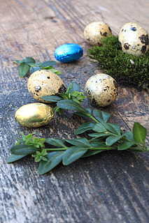 Ei, Eier, Ostern, Ostereier, farbig, Frühling, bunt, die tradition von, Lebensmittel, Dekoration, Brauch, Frühstück, Ferien, Wachteleier, Buchsbaum, Zusammensetzung, Tafel, Holz, Schokolade, rustikal, Textur, natürlich, Natur, Moos, Essen und Trinken, Holz - Material, Tabelle, Stillleben, Frische, keine Leute, grüne Farbe, Nahansicht, Pflanzenteil, Blatt, drinnen, Urlaub, Feier, High Angle View, Osterei, Wohlbefinden, 4K, CC0, gemeinfrei, lizenzfrei