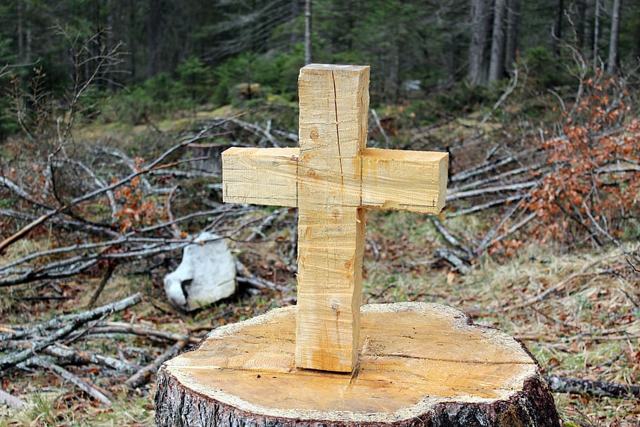 Austràlia, ehrwald, crucifix, arbre, bosc, material de fusta, creu, naturalesa, dia, terra, cap gent, planta, religió, creença, espiritualitat, cementiri, a l'aire lliure, registre, tomba, camp, fusta, forma de creu, escorça, 5K
