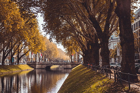 grünblättrige Bäume, Pfad, Wasser, draußen, Kanal, Fahrzeug, Automobil, Transport, Auto, Pflanze, Maschine, Rad, Leinpfad, Baum, Mensch, Person, Niederländisch, Baumstamm, Brücke, fallen, See, die Architektur, Natur, Herbst, keine Leute, Veränderung, Kofferraum, gebaute Struktur, Wachstum, Verbindung, Tag, Gebäudehülle, Fluss, Ast, von Bäumen gesäumt, Bogenbrücke, 5K, CC0, gemeinfrei, lizenzfrei