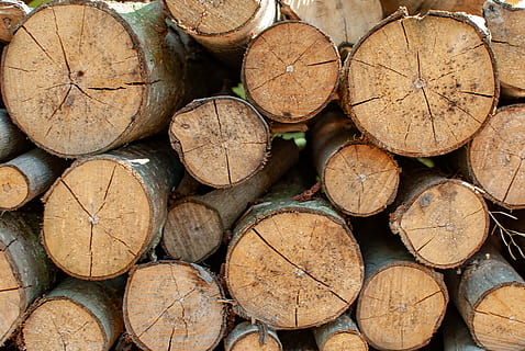 Haufen, Holz, Log, Stapel, Textur, Forstwirtschaft, Kofferraum, Tasse, Bauholz, Brennholz, Holz - Material, Hintergründe, Holzindustrie, Abholzung, Vollbild, Wald, große gruppe von gegenständen, gestalten, Kraftstoff- und Stromerzeugung, Baum, Kreis, braun, Geometrische Figur, Nahansicht, Fülle, keine Leute, Holzstapel, draußen, 4K, CC0, gemeinfrei, lizenzfrei