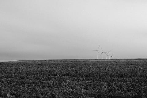 desert, molí de vent, oregon, buit, vasta, blanc i negre, bandw, cel, herba, brutícia, pnw, Amèrica, EUA, viatge de carretera, medi ambient, generació de combustible i energia, paisatge, energia eòlica, camp, terra, energia renovable, turbina, aerogenerador, conservació del medi ambient, energia alternativa, escena rural, naturalesa, agricultura, vent, planta, horitzó, bellesa a la natura, cap gent, a l'aire lliure, poder a la natura, recursos sostenibles, 5K, CC0, domini públic, lliure de regalies