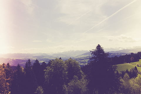 Bregenz, bregenz pfänderbahn, vuori, vuorijono, Alpit, ylhäältä, maisema, Itävalta, metsä, mäenrinne, panoraama, luonto, puu, kasvi, taivas, kauneus luonnossa, rauhallinen kohtaus, maisemat - luonto, tyyneys, pilvi - taivas, kasvu, ympäristö, päivä, ei ihmisiä, ei-kaupunkikuvia, ulkona, auringonvalo, maa, havupuu, 5K, CC0, public domain, rojaltivapaa