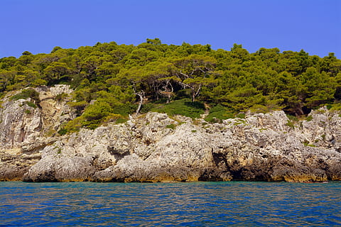 mare, montagna, scogliere, alberi, roccia, foresta, isole tremiti, gargano, puglia, acqua, pianta, albero, bellezza nella natura, cielo, scenics - natura, terra, blu, natura, roccia - oggetto, nessuno, scena tranquilla, la tranquillità, lungomare, giorno, cielo sereno, all'aperto, 5K, CC0, dominio pubblico, privo di copyright