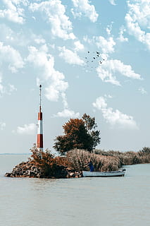 lighthouse, surrounded, trees, plants, building, architecture, tower, animal, bird, person, human, beacon, water, summer, nature, sea, boat, lake, steeple, spire, river, travel, landsacpe, cloud - sky, sky, tree, built structure, waterfront, plant, guidance, day, flying, building exterior, no people, scenics - nature, beauty in nature, outdoors, 5K, CC0, public domain, royalty free