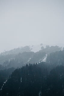 mountain during daytime, nature, weather, fog, outdoors, manali, mist, snow, pine, summit, mystery, mountains, smoke, smog, fir, tree, abies, plant, pollution, city, metropolis, beauty in nature, scenics - nature, tranquil scene, tranquility, sky, copy space, no people, mountain, environment, day, non-urban scene, landscape, mountain range, hazy, 5K, CC0, public domain, royalty free