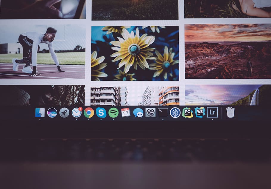 portàtil, teclat, tecnologia, lloc web, desaprofitar, fotografia, fotografies, galeria, mac, poma, informàtica, ordinador, productivitat, treball, MacBook, MacBook Pro, moll, flor, planta amb flors, planta, frescor, naturalesa, cap gent, a l'interior, fragilitat, primer pla, guió occidental, taula, multicolor, text, vulnerabilitat, comunicació, nombre, cap de flor, dia, natura morta, 4K