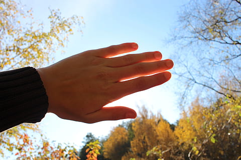 Hand, blenden, Hölle, Sonne, Sonnenschein, Sommer-, Herbst, Frühling, Jahreszeiten, Natur, Himmel, Blau, Wald, Bäume, glücklich, warm, Wetter, aus, Ego, Perspektive, menschliche Hand, menschliches Körperteil, Baum, echte Menschen, Tag, Fokus auf den Vordergrund, Körperteil, Veränderung, Pflanze, Lebensstile, Finger, eine Person, Freizeitbeschäftigung, menschlicher Finger, orange Farbe, draußen, menschliches Glied, Blätter, 5K, CC0, gemeinfrei, lizenzfrei