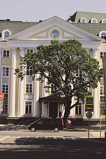 Moskva, architektura, stavba, exteriér budovy, strom, rostlina, budova, město, Příroda, den, slunečního světla, venku, rezidenční čtvrti, skutečných lidí, přeprava, lidé, růst, ulice, způsob dopravy, tropické klima, Dům, 5K, CC0, veřejná doména, bez autorských práv