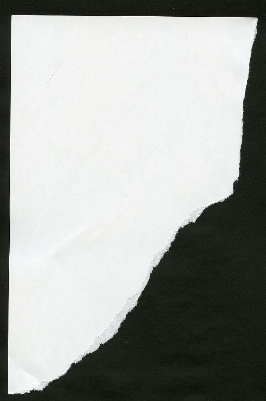 paper, esquinçat, llàgrima, full, còpia espai, primer pla, Color blanc, fons, cap gent, filtre de producció automàtica, textura, dia, en blanc, a l'interior, fons negre, transferir impressió, naturalesa, marc complet, resum, tir de l'estudi, color negre, 8K