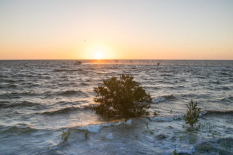 sunset, lone tree, waves, boat, nature, scenic, atmospheric, romantic, light, summer, pine island, florida, seascape, mood, flood, high tide, rough water, sky, sea, water, horizon over water, beauty in nature, scenics - nature, horizon, tranquility, tranquil scene, idyllic, clear sky, land, orange color, sun, beach, no people, wave, outdoors, 5K, CC0, public domain, royalty free