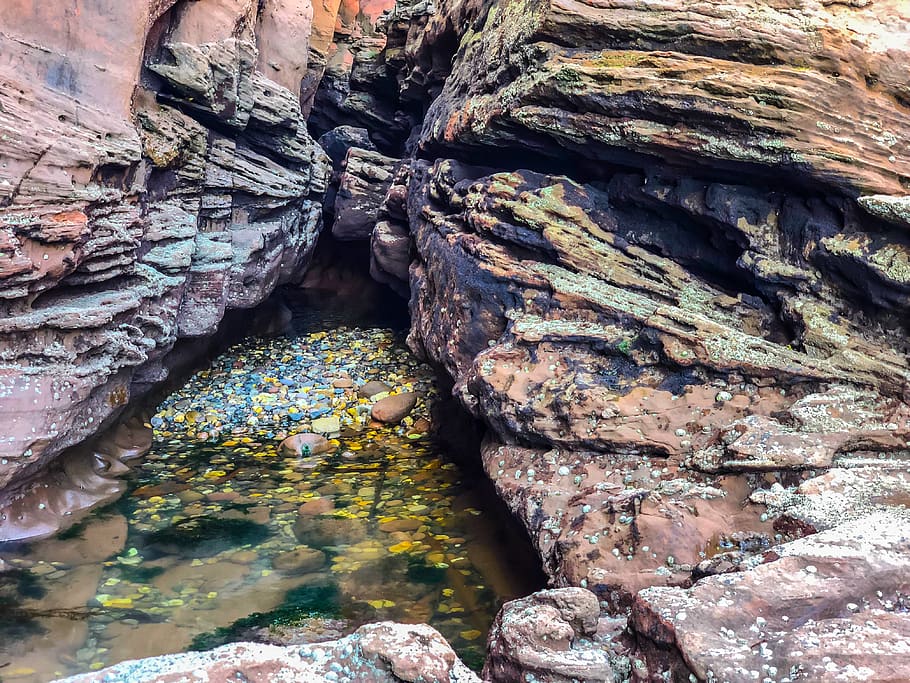 Regne Unit, devon, parc de vacances de devon cliffs, cap gent, rock, rock - object, dia, sòlid, formació de roca, aigua, naturalesa, bellesa a la natura, aspre, primer pla, textura, a l'aire lliure, arbre, geologia, tranquil·litat, geografia física, planta, marc complet, erosionat, 4K