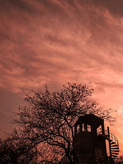 posta de sol, mount, arbre, bosc, cel, naturalesa, parc, sunset-park, exterior de l'edifici, arquitectura, núvol - cel, estructura construïda, planta, edifici, color taronja, vista d’angle baix, cap gent, bellesa a la natura, silueta, vespre, a l'aire lliure, branca, cel dramàtic, cel romàntic, 2K, CC0, domini públic, lliure de regalies
