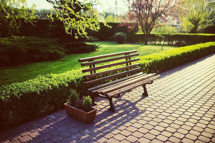 panchina, giardino, cortile, flora, fiore, sentiero, erba, verde, guida, siepe, paesaggio, prato, parco, piante, posto a sedere, estate, albero, legna, di legno, pianta, crescita, parco - spazio creato dall'uomo, natura, panchina del parco, nessuno, colore verde, vuoto, assenza, giorno, la tranquillità, bellezza nella natura, luce del sole, all'aperto, pavimentazione in pietra, vaso di fiori, 5K