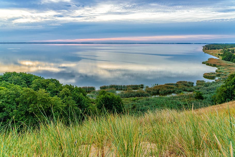 planta de fulla verda, al costat, gran, cos, aigua, platja, núvols, Costa, alba, herba, horitzó, paisatge, naturalesa, oceà, reflexió, mar, cel, estiu, posta de sol, arbres, planta, núvol - cel, escena tranquil·la, tranquil·litat, escenics - natura, bellesa a la natura, terra, medi ambient, arbre, cap gent, creixement, color verd, dia, a l'aire lliure, 5K