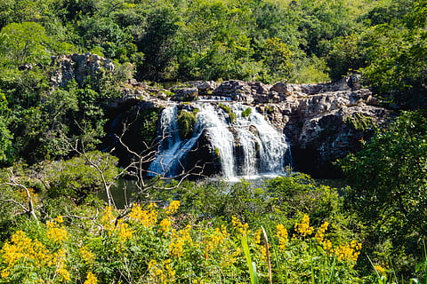 landskab, flod, vand, udendørs, natur, vandfald, plante, vegetation, Skov, sø, naturlig, paradis, brasilien, hemmelighed, jord, træ, strøm, Busk, regnskov, jungle, skønhed i naturen, vækst, scenics - natur, bevægelse, grøn farve, flydende vand, ingen mennesker, ro, dag, løv, frodig løv, miljø, flyder, magt i naturen, faldende vand, 4K, CC0, offentligt domæne, royaltyfrie