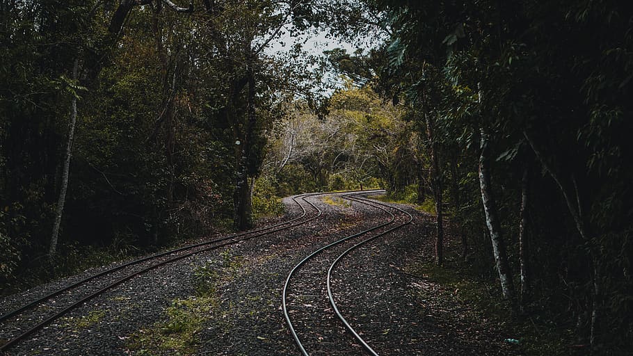 vies de tren buides, ferrocarril, pista de tren, rail, transport, argentina, puerto iguazú, Parc nacional de iguazu, arbre, planta, conífera, teix, flora, vegetació, bosc, terra, naturalesa, a l'aire lliure, grava, carretera, Carretera bruta, el camí a seguir, direcció, vies del ferrocarril, pista, transport per ferrocarril, cap gent, creixement, dia, tranquil·litat, perspectiva decreixent, punt de fuga, bellesa a la natura, escena tranquil·la, 5K