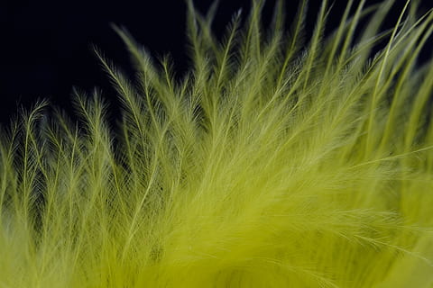 Feder, Flaum, Vogelfeder, Nieder, leicht, Gelb, Schmuck, schmücken, Frühlingsschmuck, Karneval, Hintergrund, Pflanze, Wachstum, grüne Farbe, Ernte, Landwirtschaft, Getreidepflanze, Schönheit in der Natur, Natur, Nahansicht, keine Leute, Feld, Land, Gerste, Hintergründe, Bauernhof, ländliche Szene, Landschaft, selektiver Fokus, Frische, draußen, Wind, Weichheit, 5K, CC0, gemeinfrei, lizenzfrei