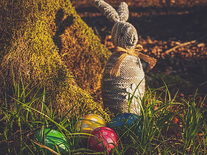 easter, egg, hare, easter bunny, decoration, easter eggs, colored, colorful, spring, color, cheerful, nature, eat, easter egg, easter theme, osterkarte, easter decoration, easter greetings, tradition, easter greeting, customs, decorative, creativity, plant, art and craft, no people, close-up, craft, grass, representation, holiday, celebration, green color, still life, day, growth, outdoors, 5K, CC0, public domain, royalty free